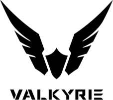 logo de la marque Valkyrie