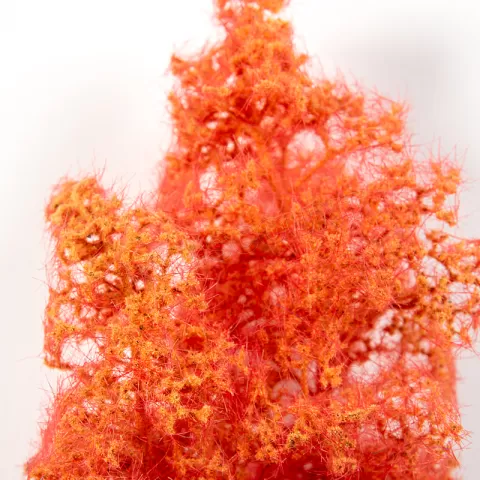 Photo de Ak Interactive Dioramas - Red Orange Fantasy Bushes 1/35