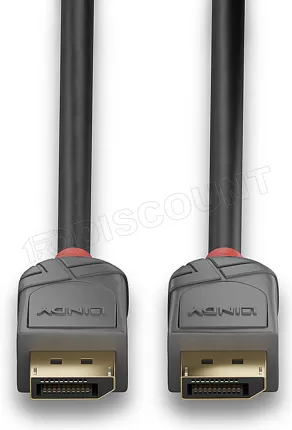 Photo de Cable DisplayPort 1.4 Lindy 1m (Noir/Gris)