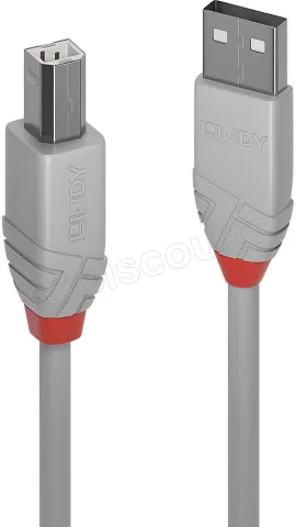 Photo de Cable Lindy Anthra Line USB-A/B 2.0 1m M/M (Gris/Rouge)