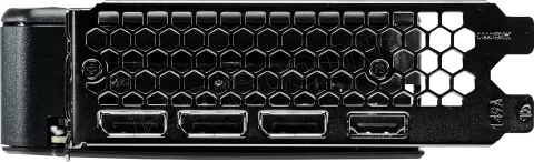 Photo de Carte Graphique Palit GeForce RTX 5060 Ti Dual 8Go