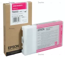 Photo de Cartouche d'encre Epson T603300 (Rose)
