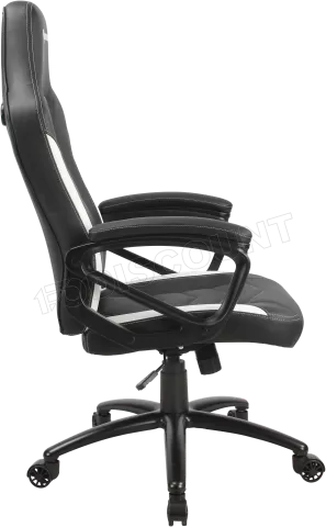 Photo de Fauteuil Azgenon Z100 (Noir/Blanc)