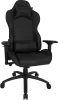 Photo de Fauteuil Azgenon Z300 (Noir)