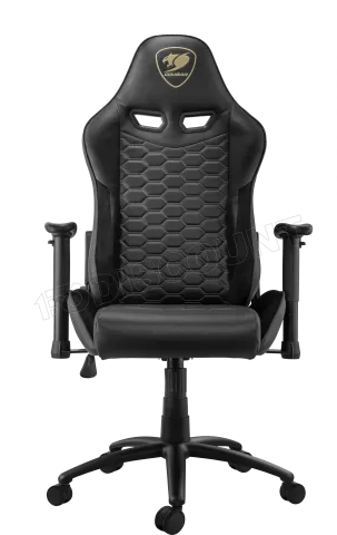 Photo de Fauteuil Cougar Outrider (Noir/Or)