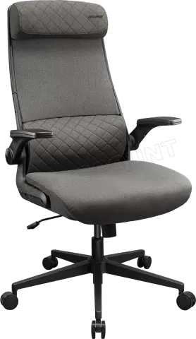 Photo de Fauteuil Cougar Stryder (Gris)