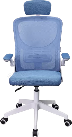 Photo de Fauteuil ergonomique Mars Gaming MGC-Ergo Plus (Bleu/Blanc)