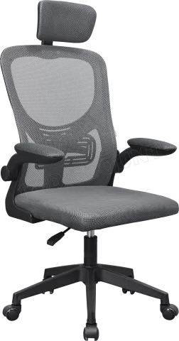 Photo de Fauteuil ergonomique Mars Gaming MGC-Ergo Plus (Gris/Noir)