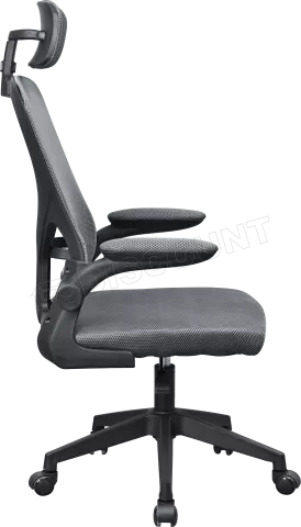 Photo de Fauteuil ergonomique Mars Gaming MGC-Ergo Plus (Gris/Noir)