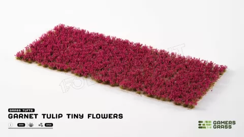 Photo de Gamers Grass - Garnet Tulip Tiny Flowers