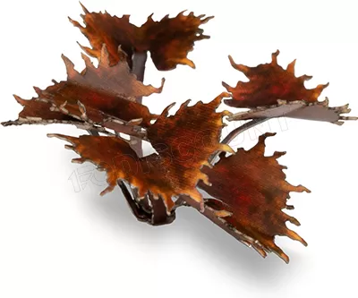 Photo de Gamers Grass - Laser Plants : Alien Flytrap