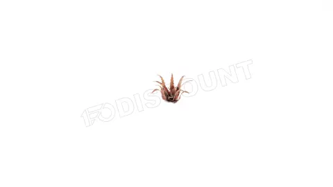 Photo de Gamers Grass - Laser Plants : Red Aloe