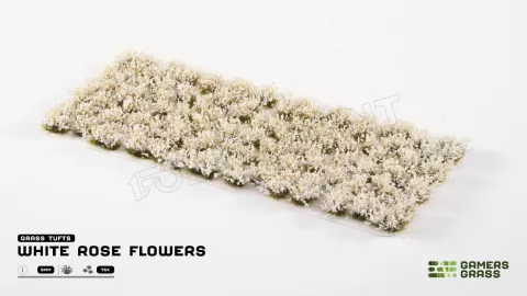Photo de Gamers Grass - White Rose Flowers