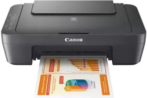 Photo de Canon Pixma MG2556S