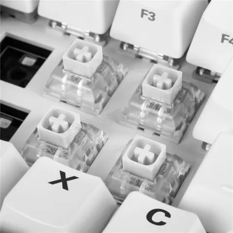 Photo de Jeu de 35 Switchs pour clavier mécanique Sharkoon Kailh Box White