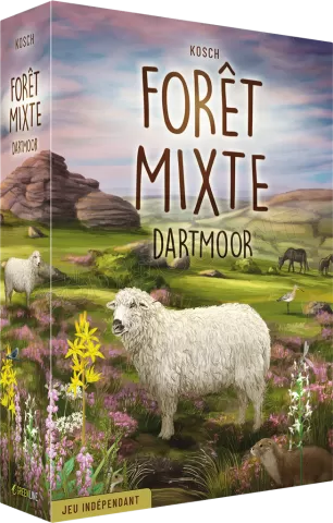 Photo de Jeu - Foret Mixte DartMoor