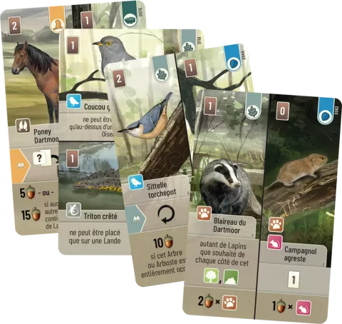 Photo de Jeu - Foret Mixte DartMoor