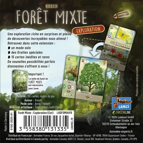 Photo de Jeu - Foret Mixte : Exploration (Ext.)