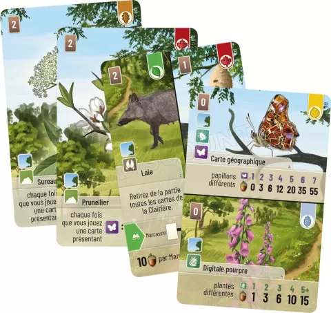 Photo de Jeu - Foret Mixte : Lisière de Foret (Ext.)