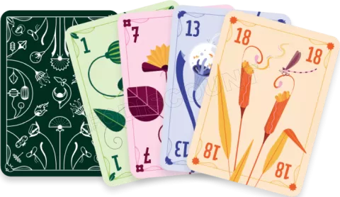 Photo de Jeu - Poket - Hii Fuu