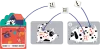 Image secondaire du produit