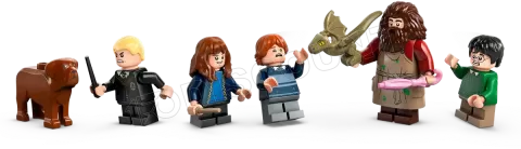 Photo de Lego Harry Potter 76428 - Cabane d'Hagrid