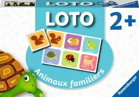 Photo de Loto Animaux familiers