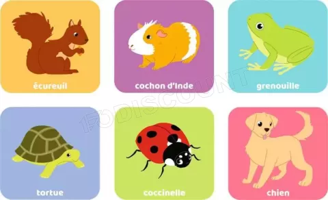Photo de Loto Animaux familiers