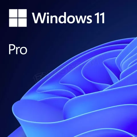 Photo de Microsoft Windows 11 Pro - 64bits (OEM) (DVD)