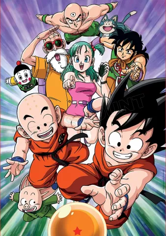 Photo de Puzzle Educa - Dragon Ball (200 pièces)