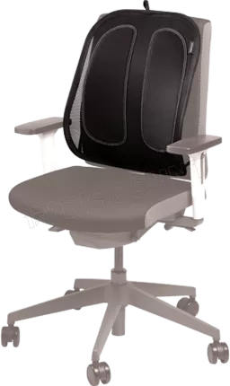 Photo de Support dorsal Fellowes Office Suites (Noir)