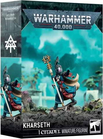 Photo de Warhammer 40k - Aeledari Kharseth