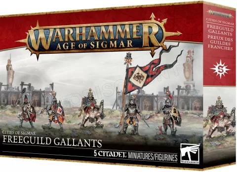 Photo de Warhammer AoS - City of Sigmar Preux des Guildes Franches