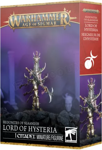 Photo de Warhammer AoS - Hedonites of Slaanesh Seigneur de L'Hysterie