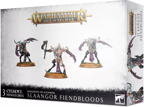 Photo de Warhammer AoS - Hedonites of Slaanesh Slaangor Fiendbloods