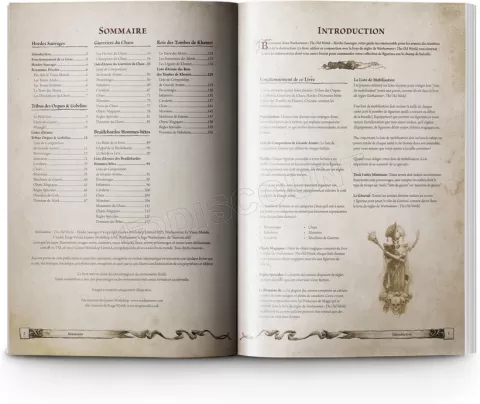 Photo de Warhammer ToW - Hordes Sauvages (Fr)